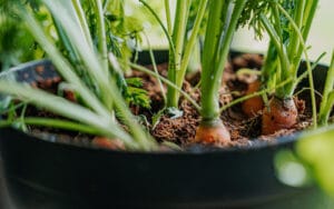 CarouselBannerPhotos(2)