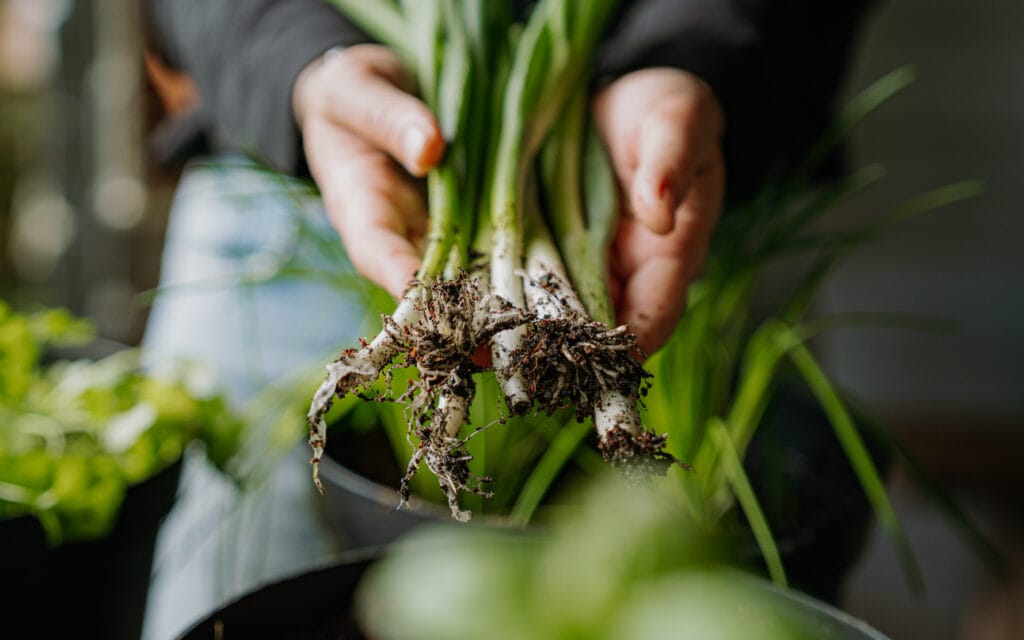 CarouselBannerPhotos(6)