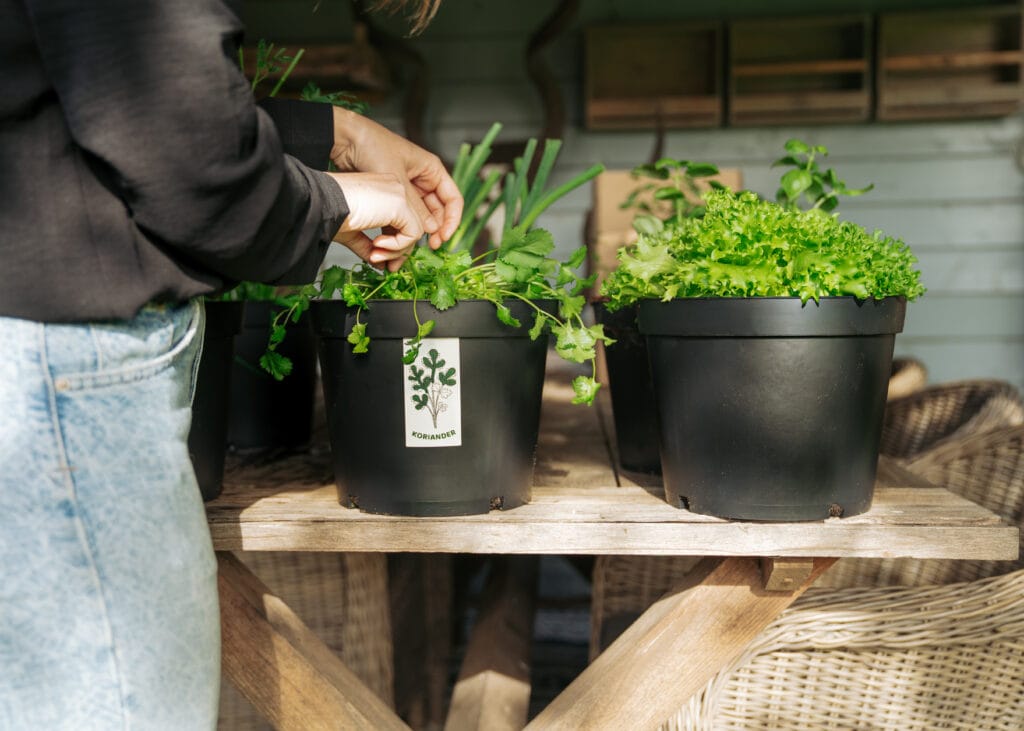 Process+Behindthescenes(14)