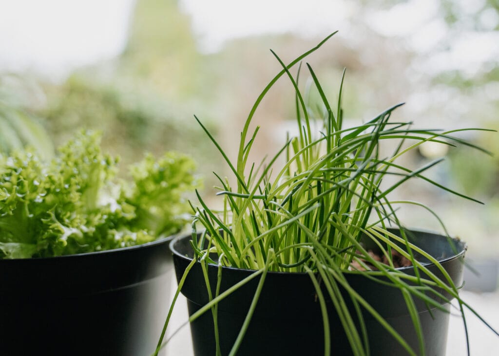 SeasonalorThematicPhotos(3)